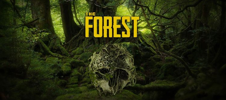 the forest 02 - The Forest